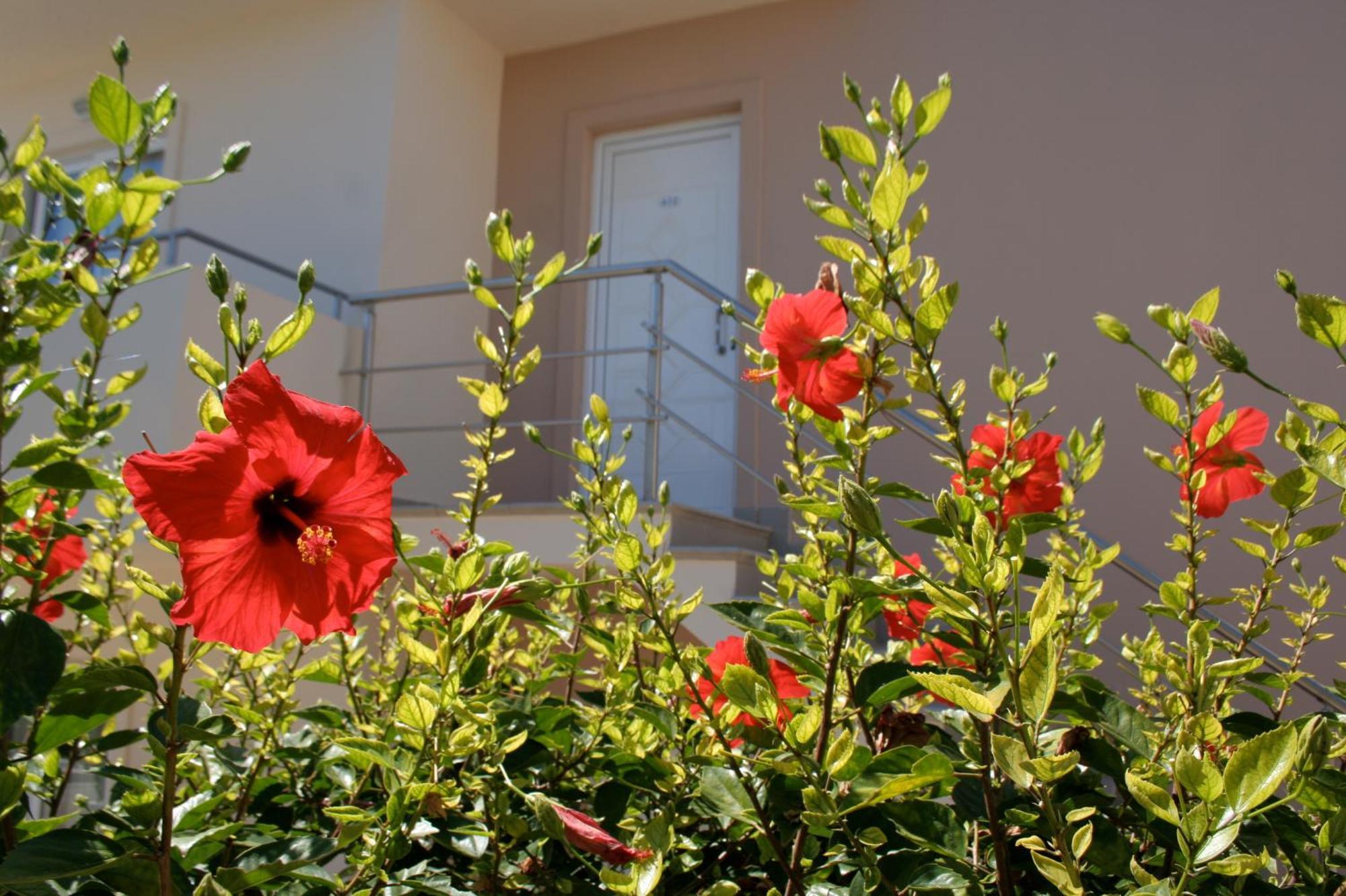 Amaryllis Front Beach Hotel Lardos Eksteriør billede